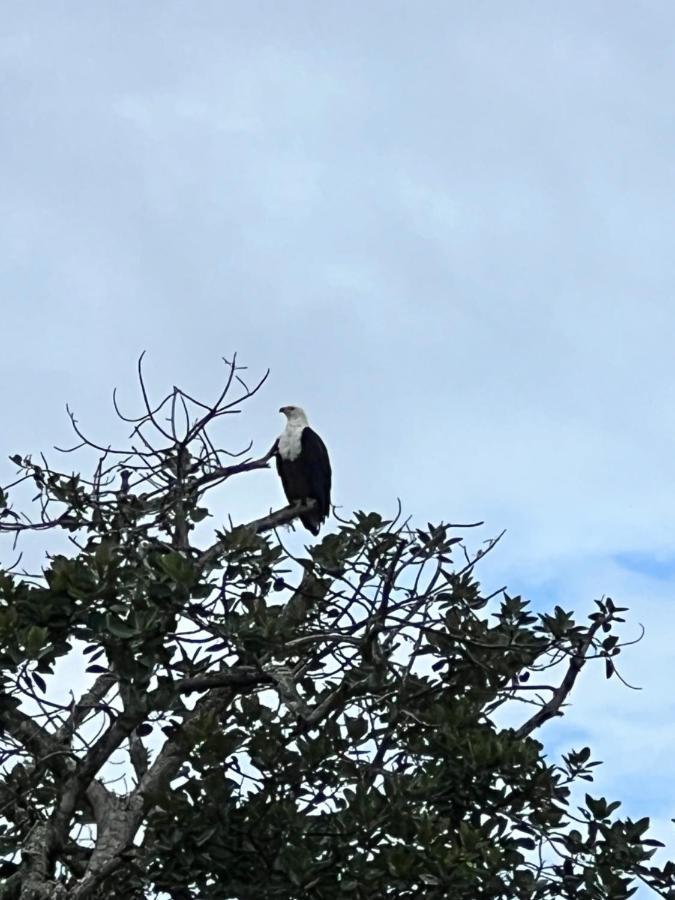 Saint Lucia Estuary ホエールソング ゲスト ハウス Bed & Breakfast エクステリア 写真