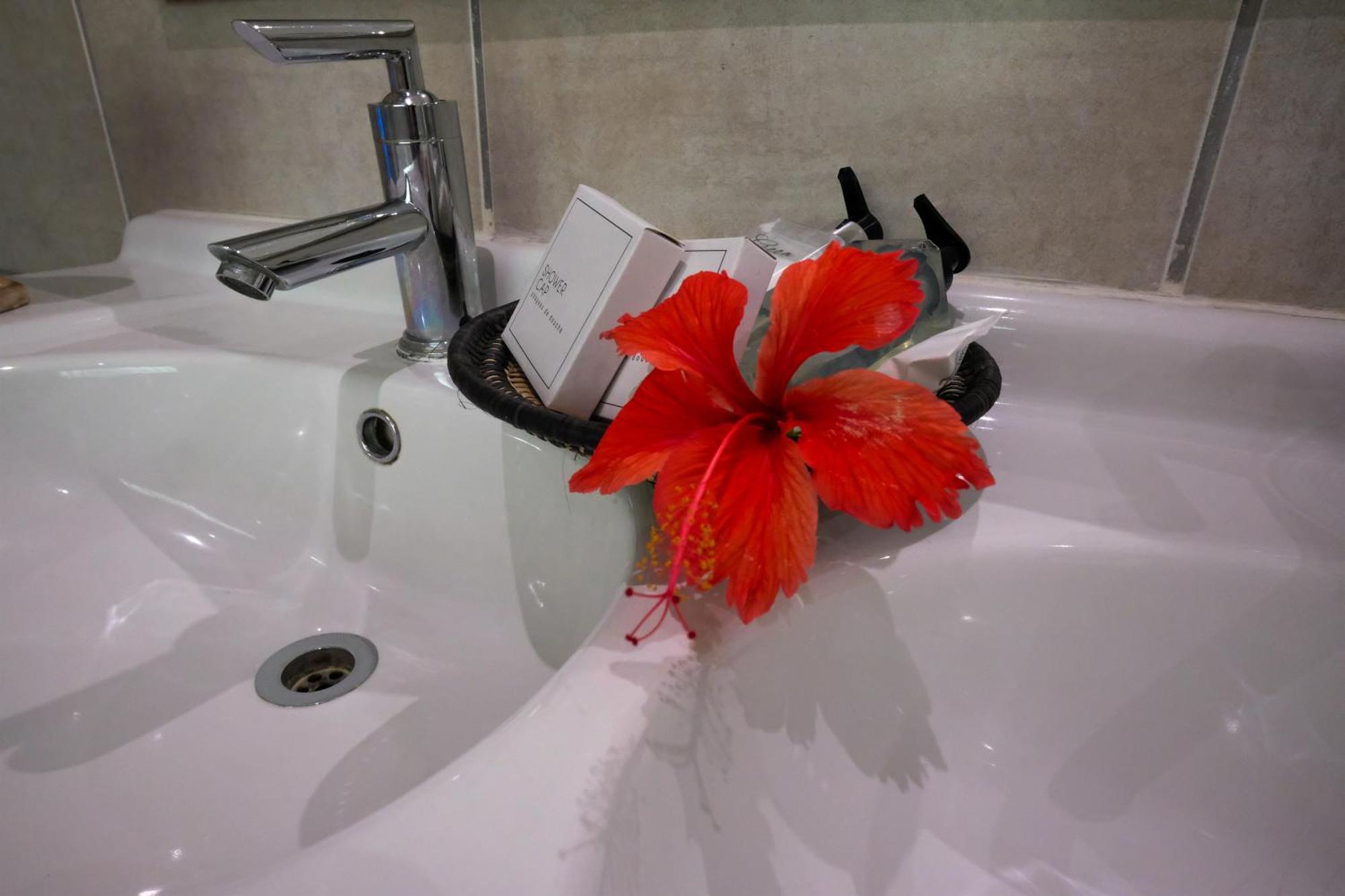 Saint Lucia Estuary ホエールソング ゲスト ハウス Bed & Breakfast エクステリア 写真